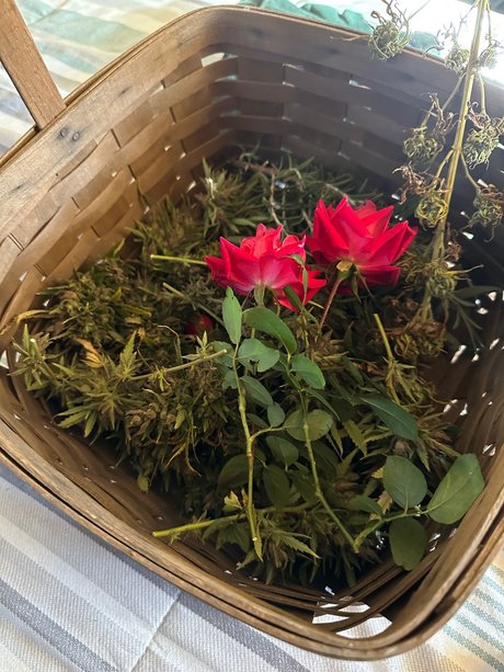 Zander Rae nude only fans