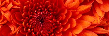 JennaLee onlyfans leams