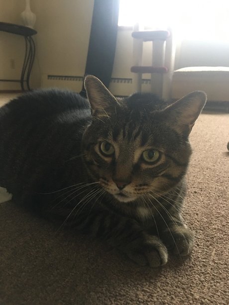 herb1982 onlyfans photos