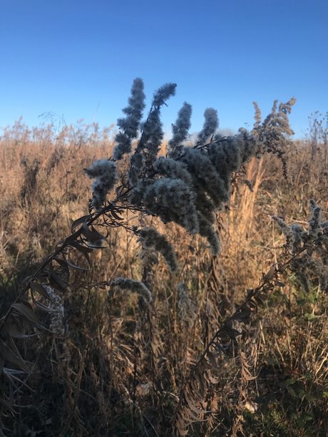 harper onlyfans leaked xxx