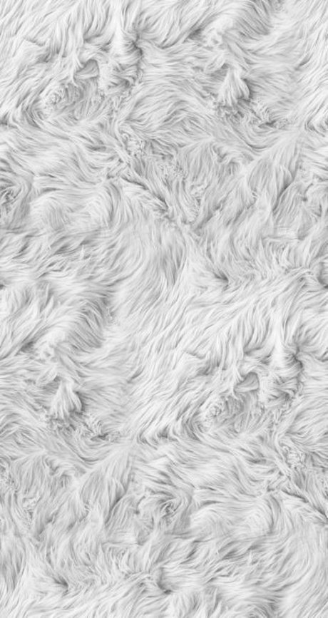 Florci onlyfans free porn