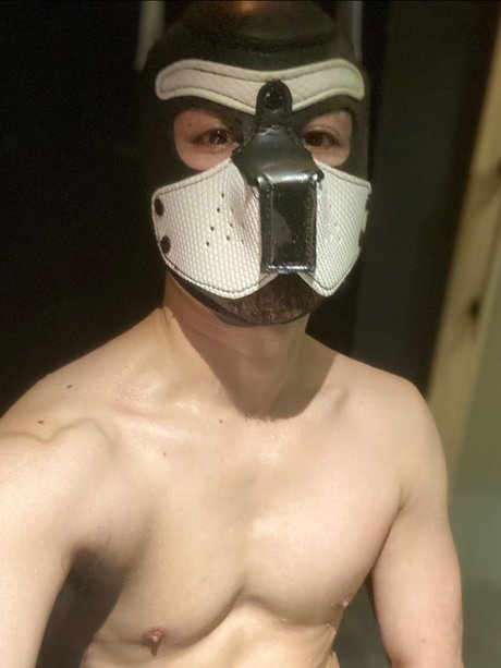 foccaseal nude onlyfans leaks