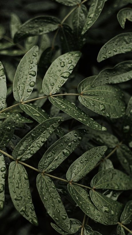 Ms Maleficent porn onlyfans