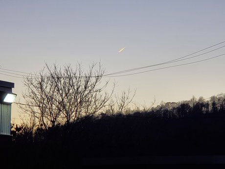 Dikembe Johnson nude porn onlyfans