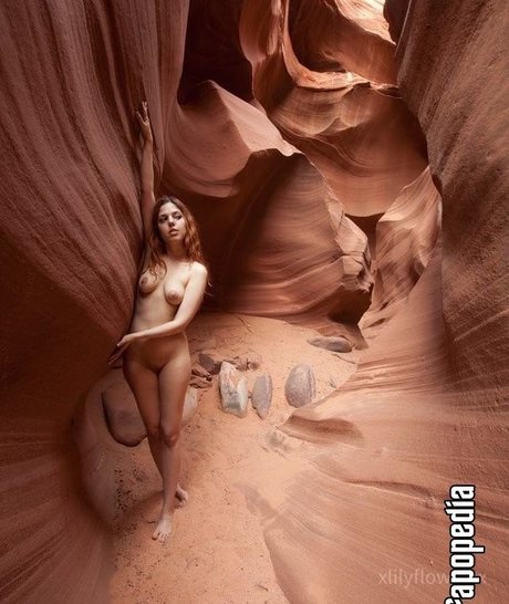 Xlilyflowersx onlyfans porn