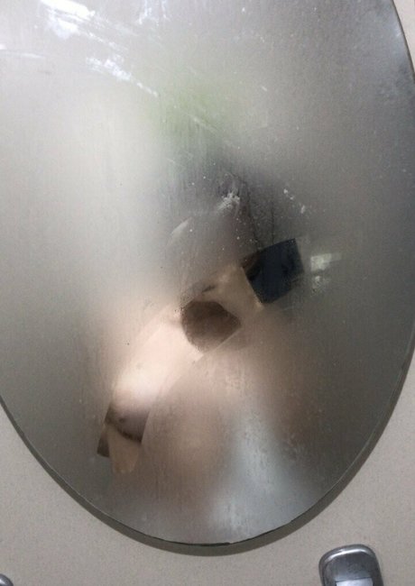 ellaarievilo onlyfans photos