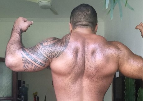 Musclebearbrazil onlyfans striptease