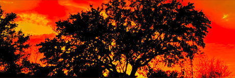 Georgian Hung 94 naked on onlyfans