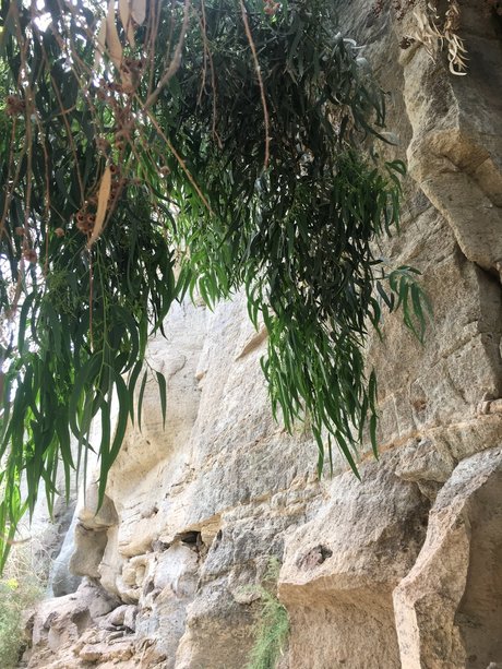 Eri_ leaked onlyfans sextape