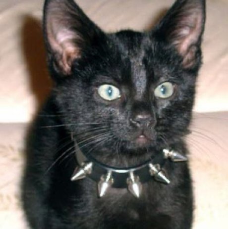 Dumb Baeby onlyfans porn