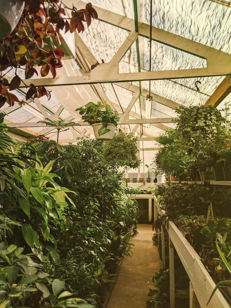 Earth Angel_ onlyfans mega