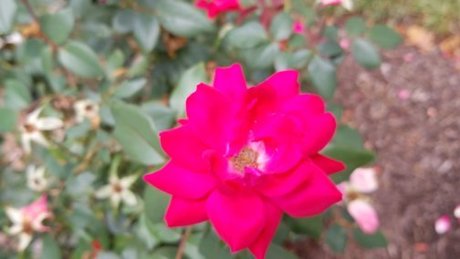 Raivennxi only fans content