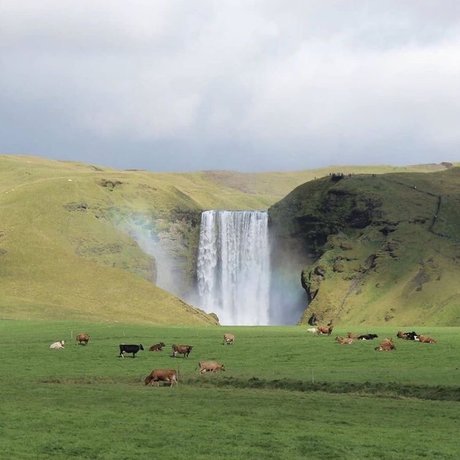 MsThing13 onlyfans de