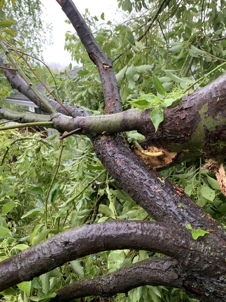 u3653168 onlyfans leak