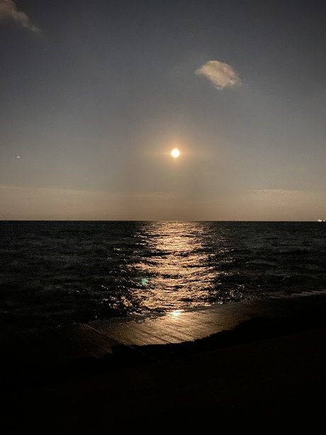 Myles long xxx onlyfans