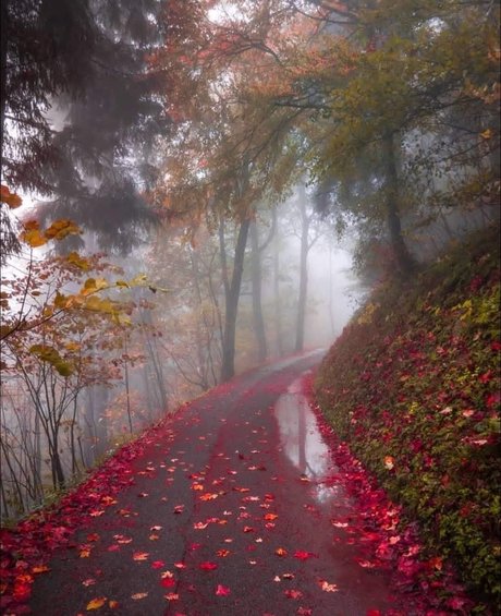 Aconite onlyfans content leaked