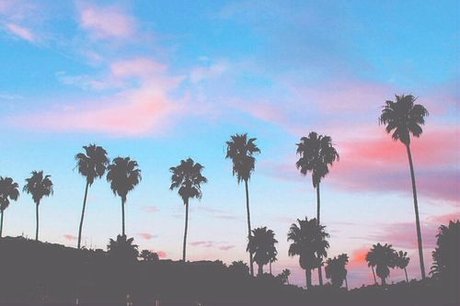 Emma Sunflower onlyfans mega