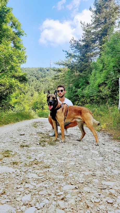 GB Dog Trainer onlyfans naked pics