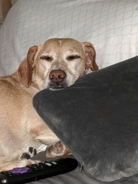 Fan Cave only fans leaked porn