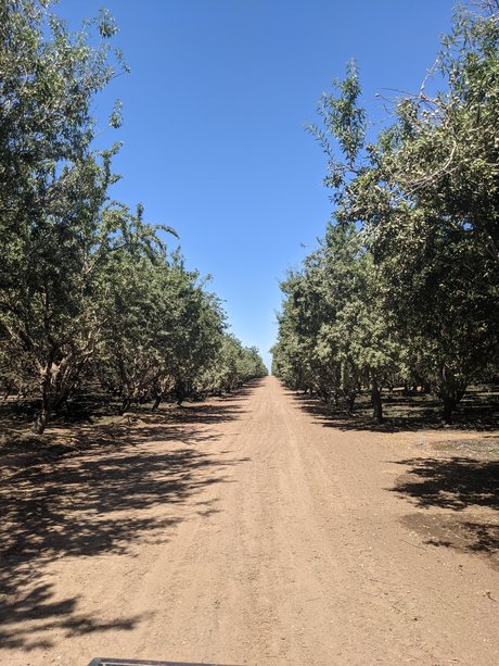 Farmer Adam only fans content