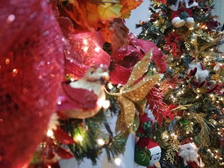 Darling Inoa onlyfans content leaked