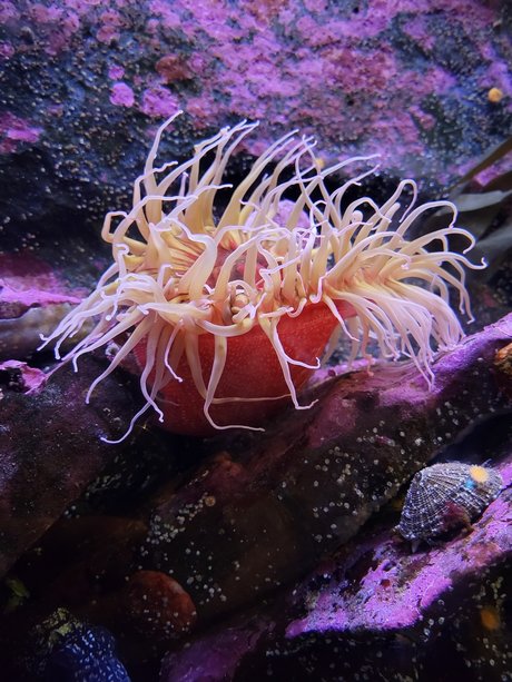 Chaotic Good Himbo nudes onlyfans leaked