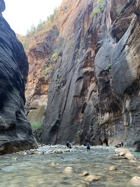 Alpacka only fans leak nude