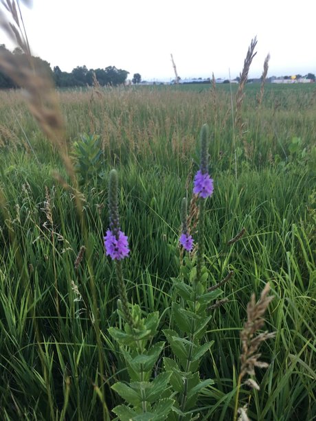 Narina onlyfans pics