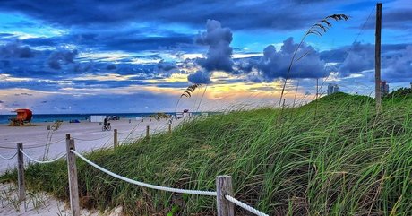 Alex Naranjo onlyfans