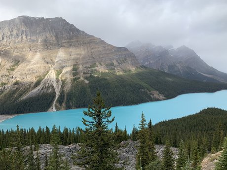 Nancy Van onlyfans model