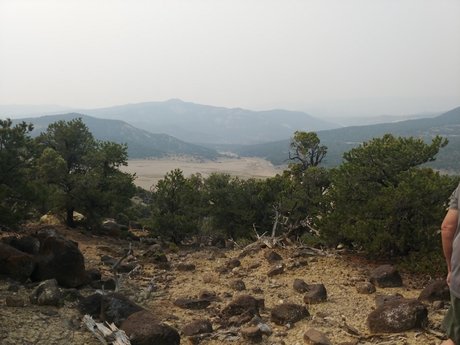 Angell Meep onlyfans leaked nude