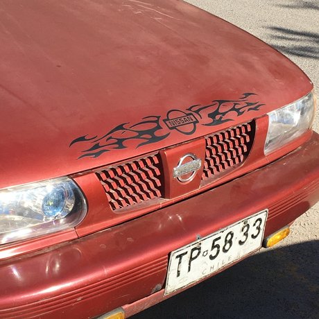 Dominga nude onlyfans