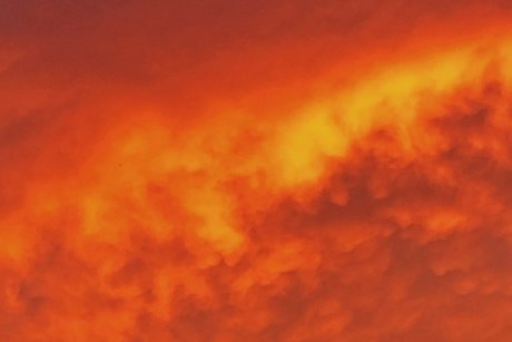 naturalnaturegrl onlyfans pic