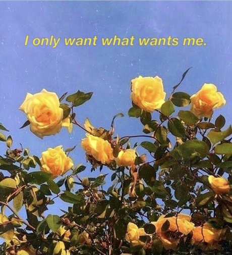 French BB onlyfans pics