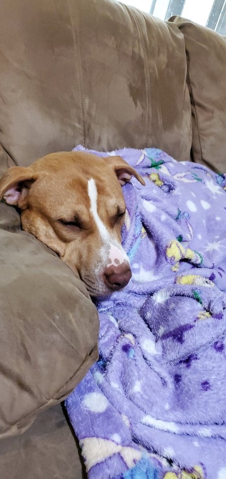 Cute Jess onlyfans leaks sex