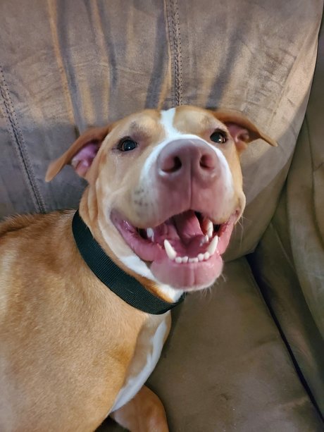 Cute Jess onlyfans creator