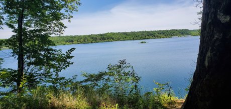 Michael B onlyfans strip tease