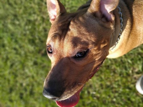 Augusto Xavier onlyfans fuck