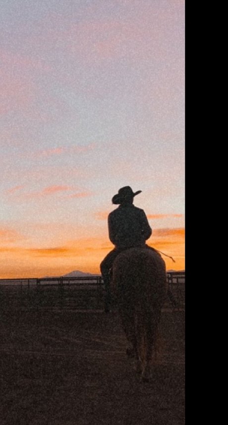 Dottie Walker nude leaks onlyfans