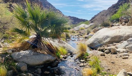 Oasis_ onlyfans leak