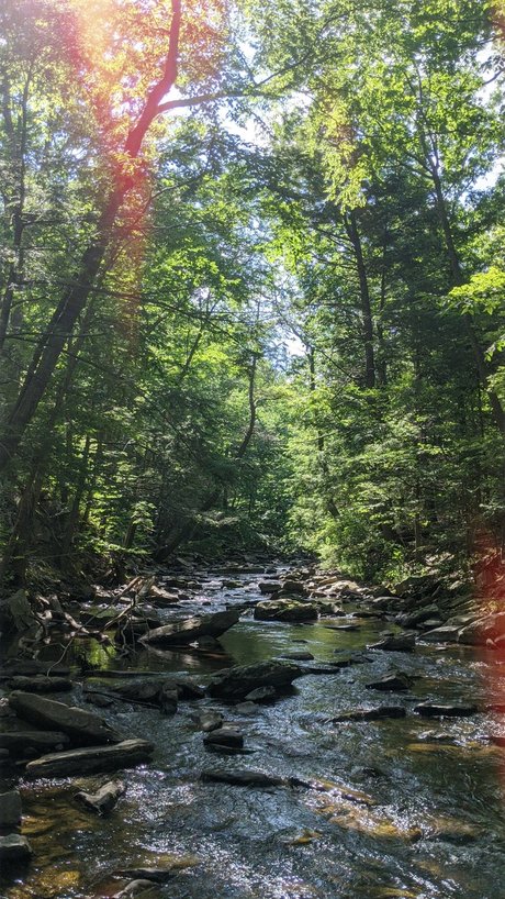 Wolf boy only fans nudes