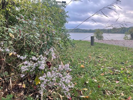 N A T U R E B A B E S onlyfans lean