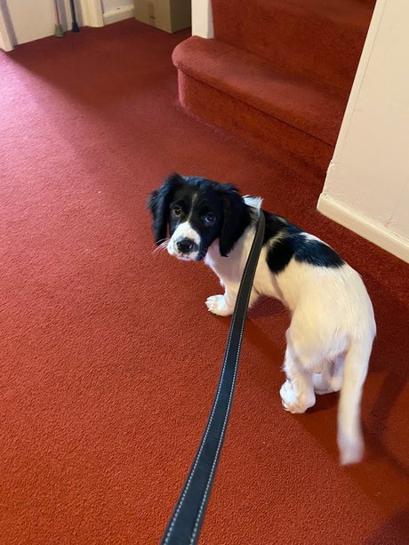 victoria preece onlyfans xxx