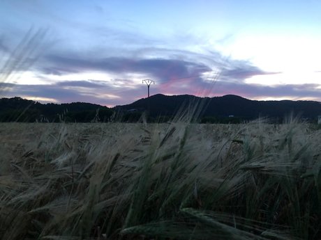 PrincessXX onlyfans topless