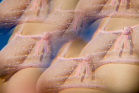 Dafne Fairy porn onlyfans