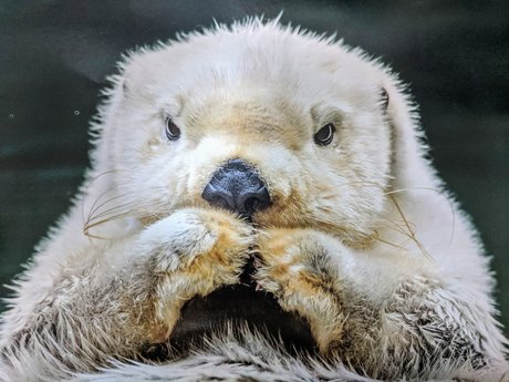 Bombtastic onlyfans uncensored