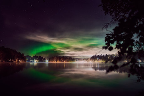 Neonerotic naked only fans