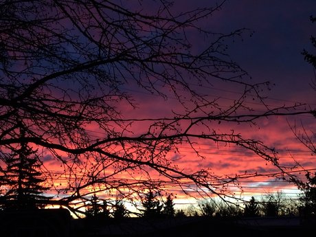 Alice s Wonderland_ onlyfans free