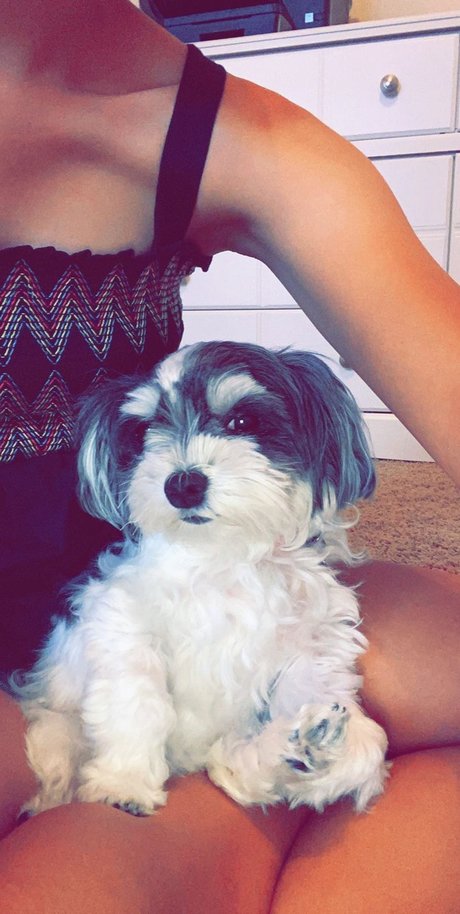 MOLLY MORKIE onlyfans leak new