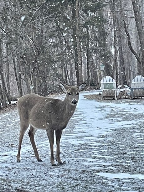 Eilit nude only fans